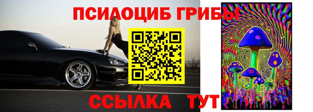 Псилоцибиновые грибы мицелий Мелеуз